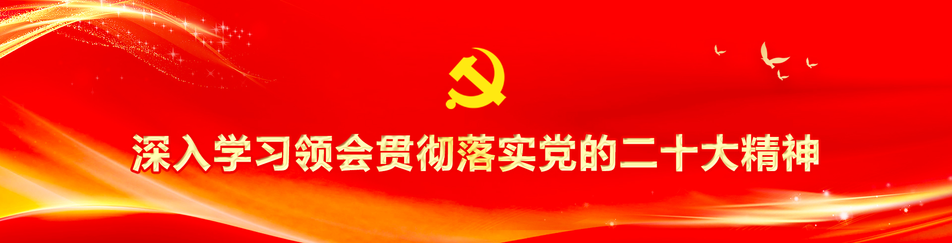 深入学习领会贯彻落实党的二十大精神